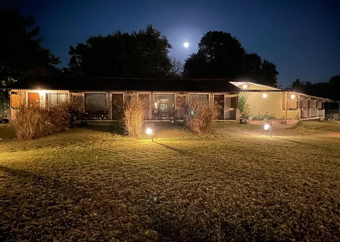 Asiatic Lion Lodge Sasan Gir